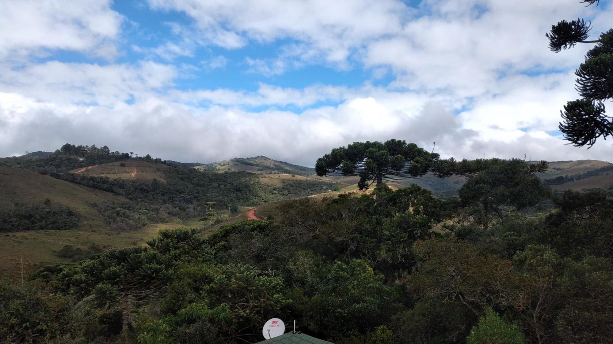 Mountain * Campos do Jordao